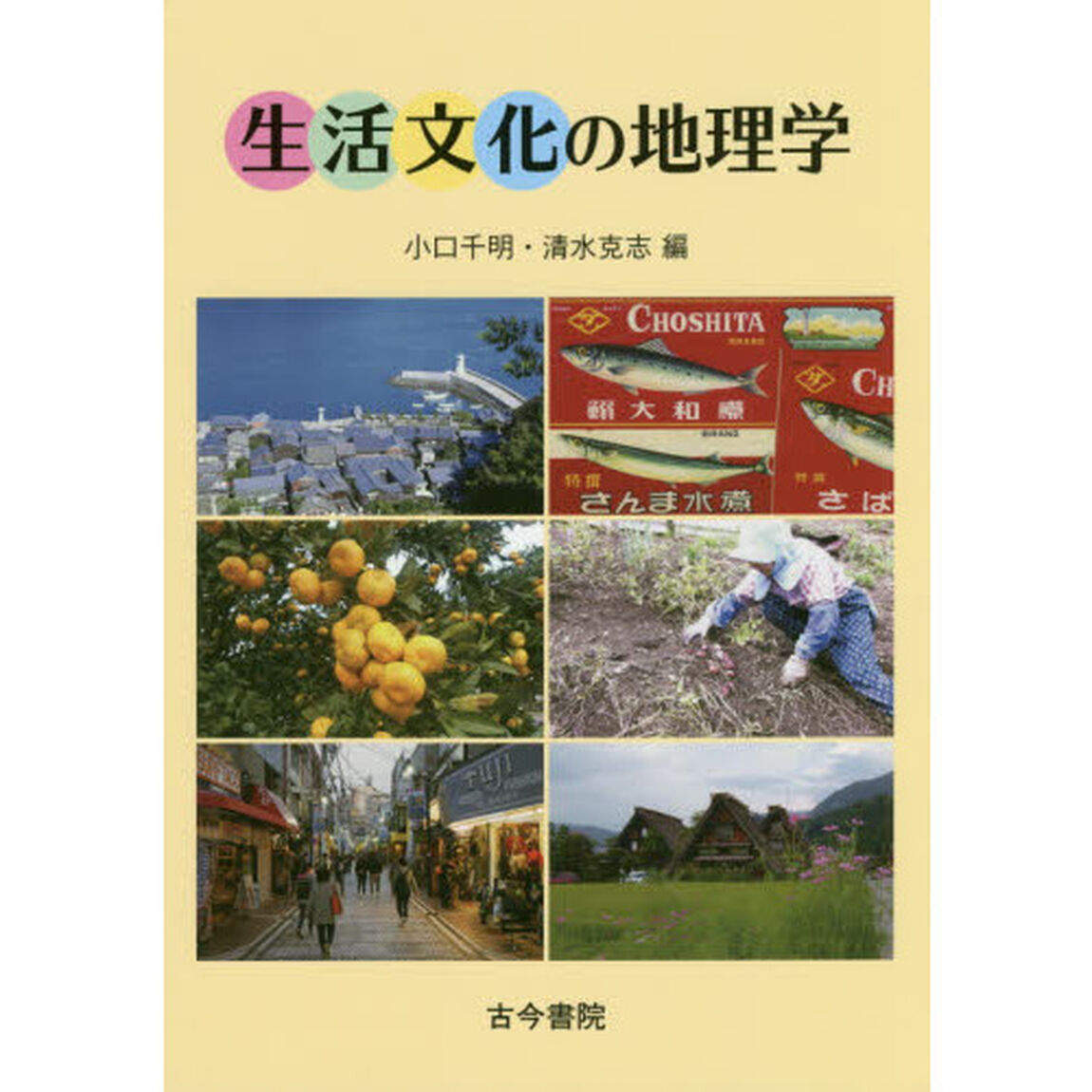 生活文化の地理学