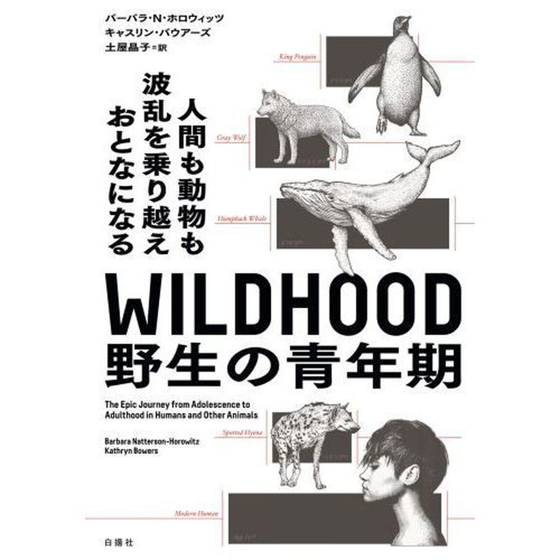 ＷＩＬＤＨＯＯＤ野生の青年期　人間も動物も波乱を乗り越えおとなになる