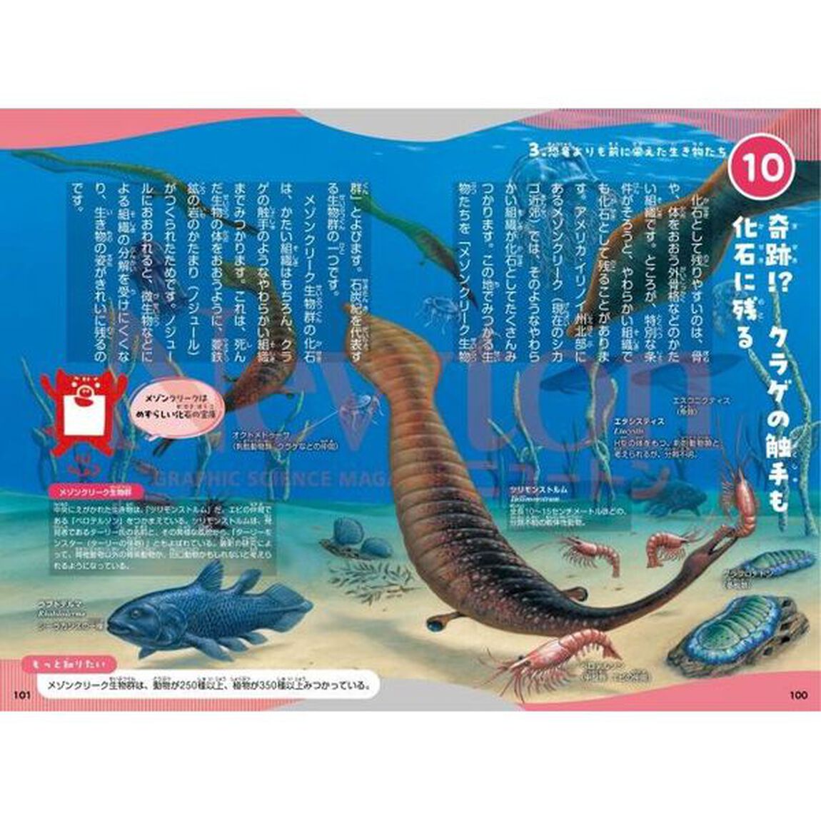 古生物の学校　わかりやすくておもしろい！！