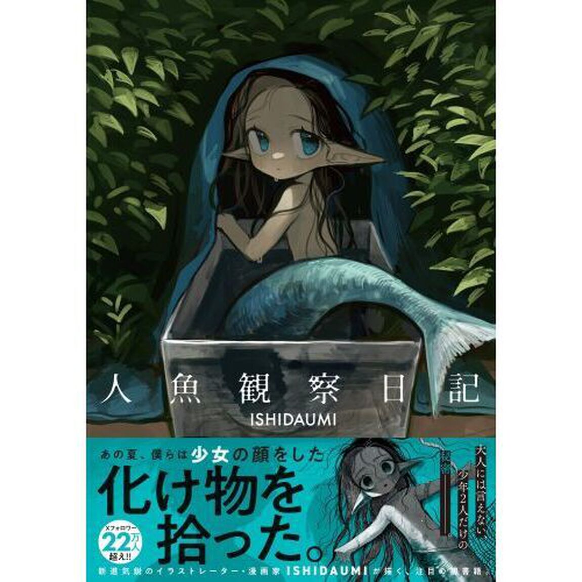 人魚観察日記