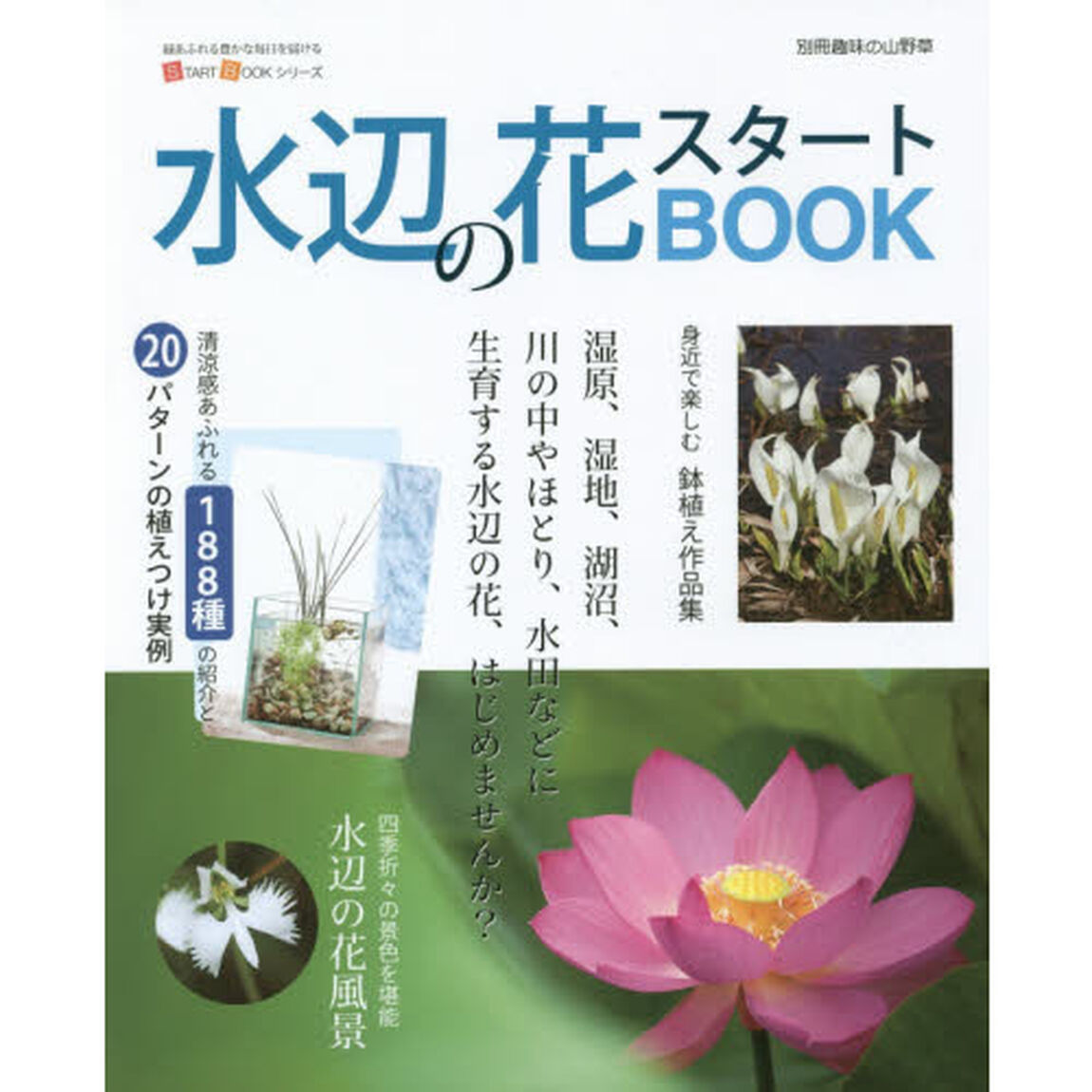 水辺の花スタートＢＯＯＫ　今すぐ始めるための情報が満載！水辺の花、はじめませんか？
