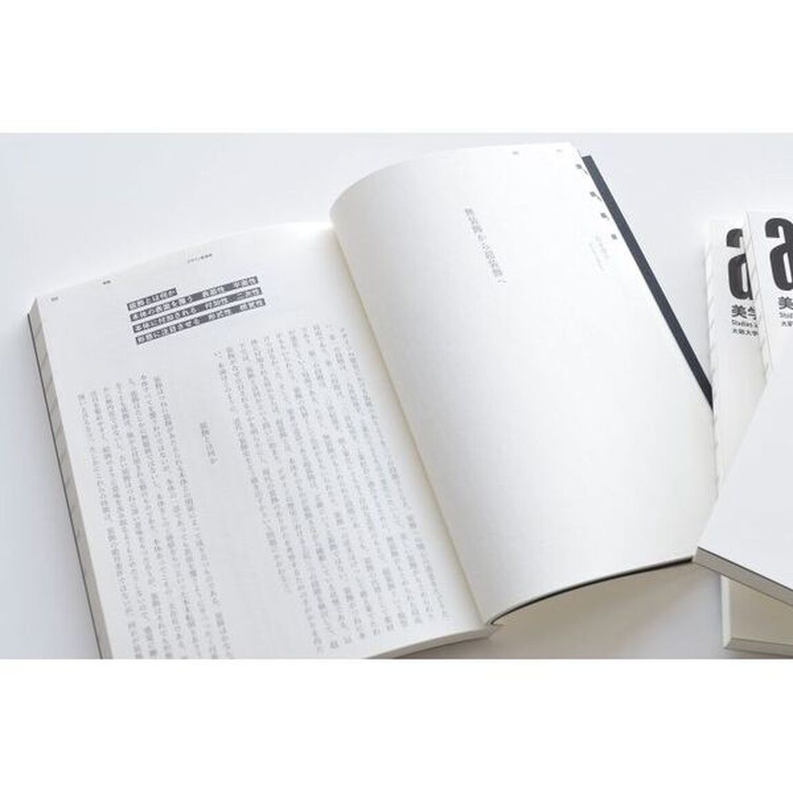 ａ＋ａ美学研究　第１３号「デザイン新潮流」