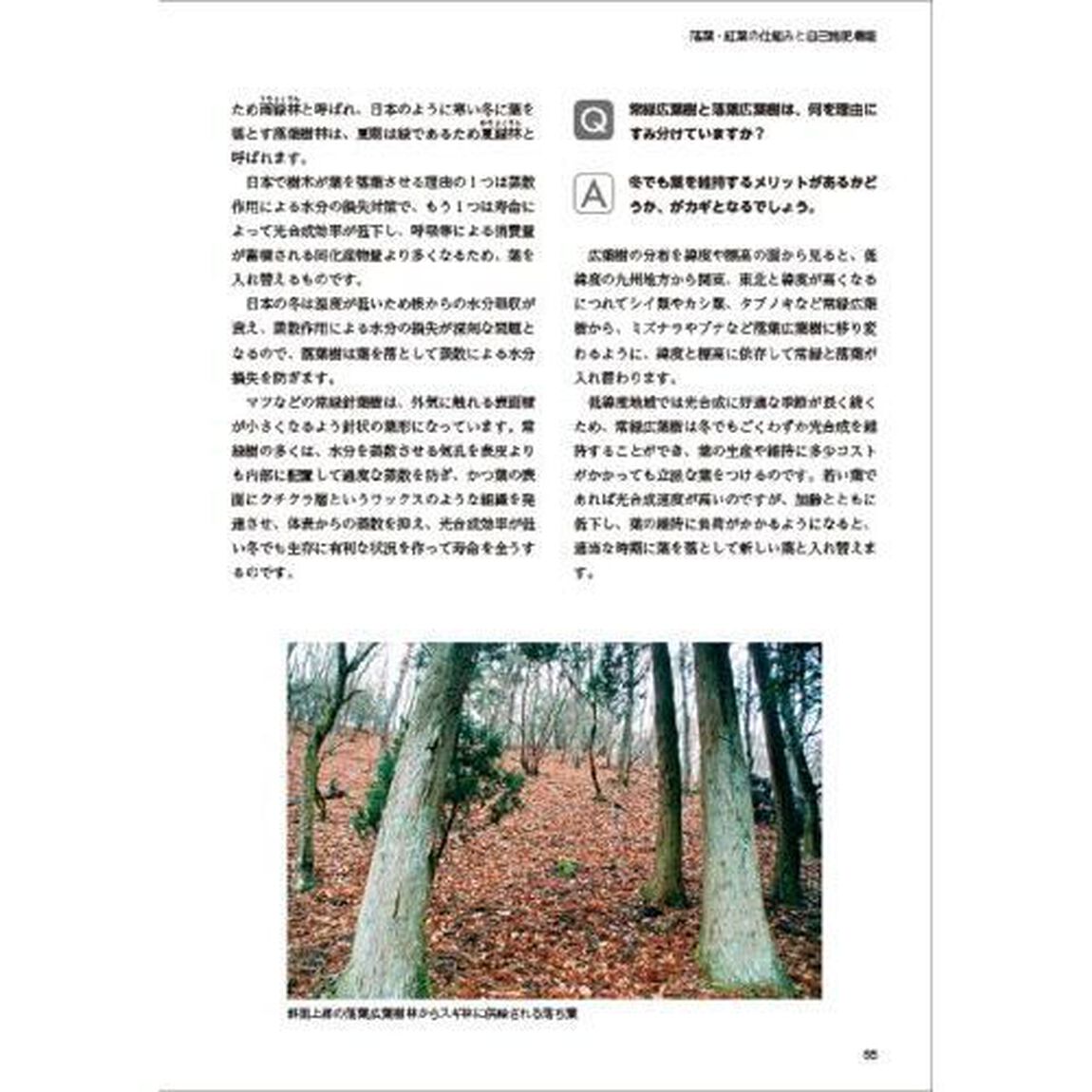 造林・育林実践技術ガイド　未来に残す森づくりのために