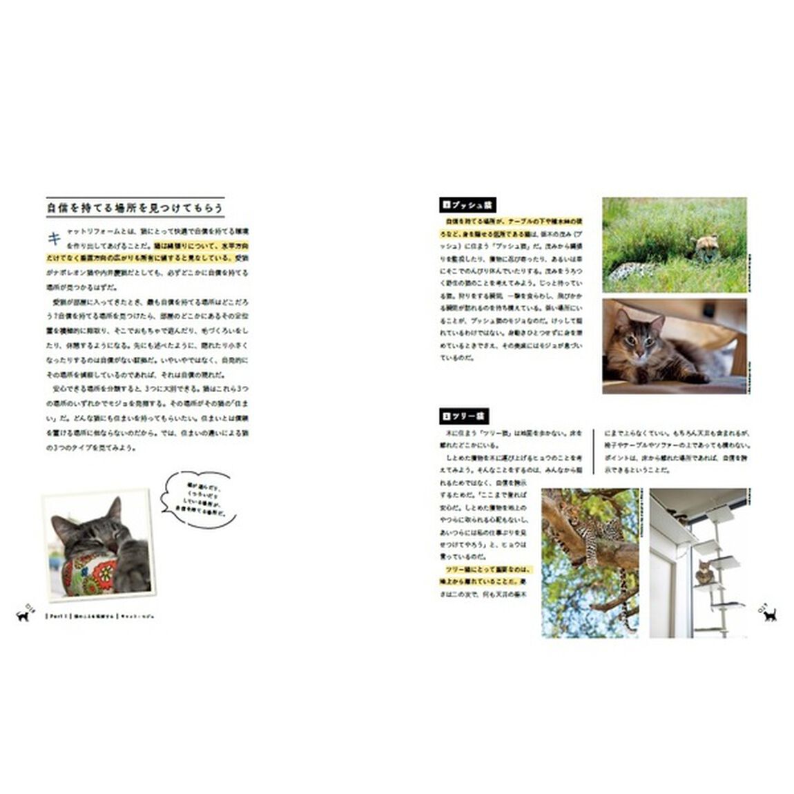 猫のための部屋づくり
