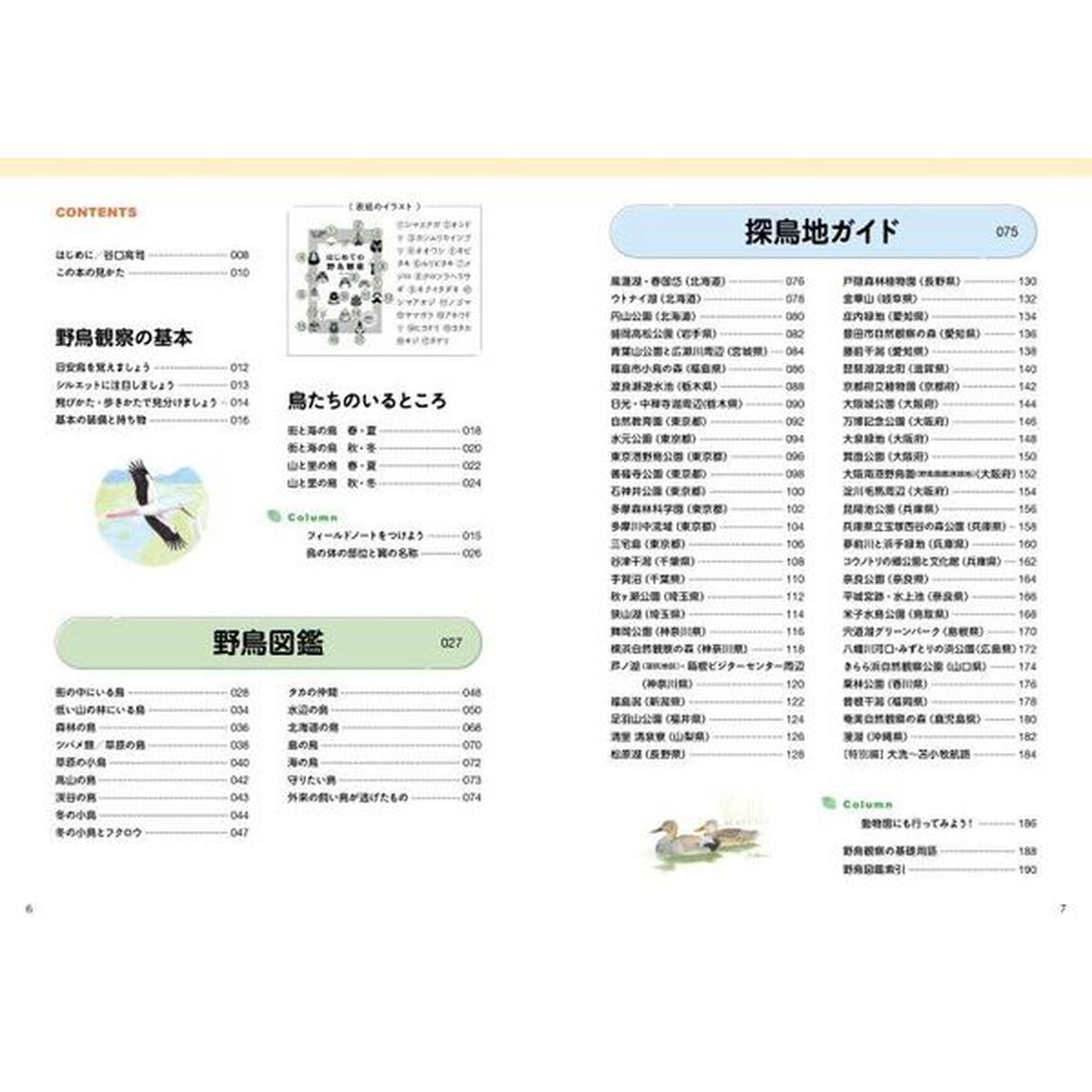 はじめての野鳥観察