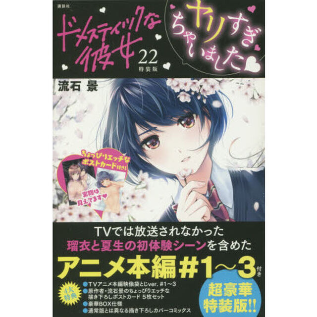 ドメスティックな彼女　　２２　特装版