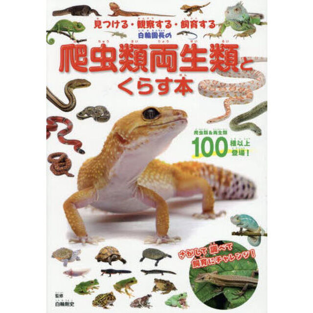 白輪園長の爬虫類両生類とくらす本　見つける・観察する・飼育する