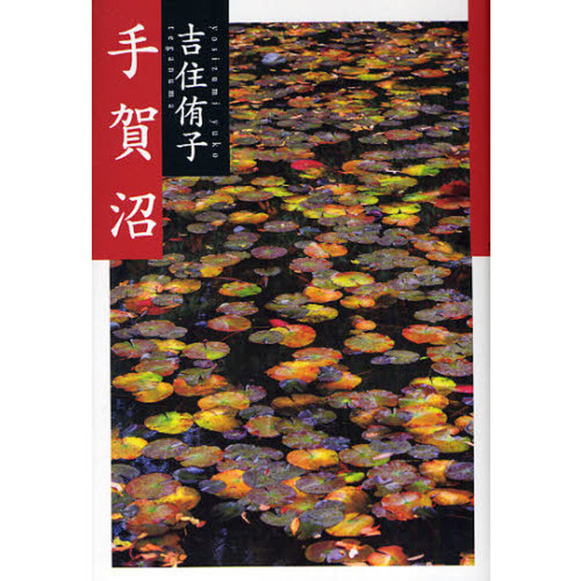 手賀沼