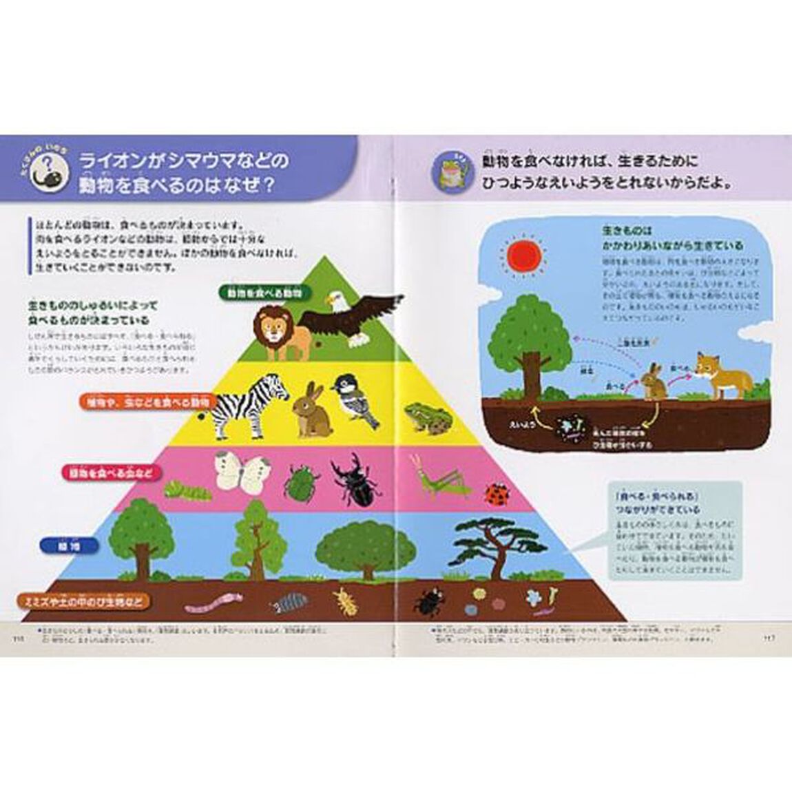 いのちの図鑑　ふしぎがいっぱい！　うちゅう　地球　人体　動物　植物
