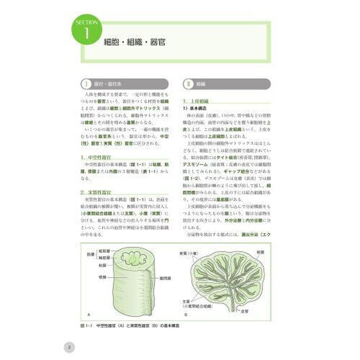歯科衛生士国家試験ポイントチェック　１「人体の構造と機能／歯・口腔の構造と機能／疾病の成り立ち及び回復過程の促進」