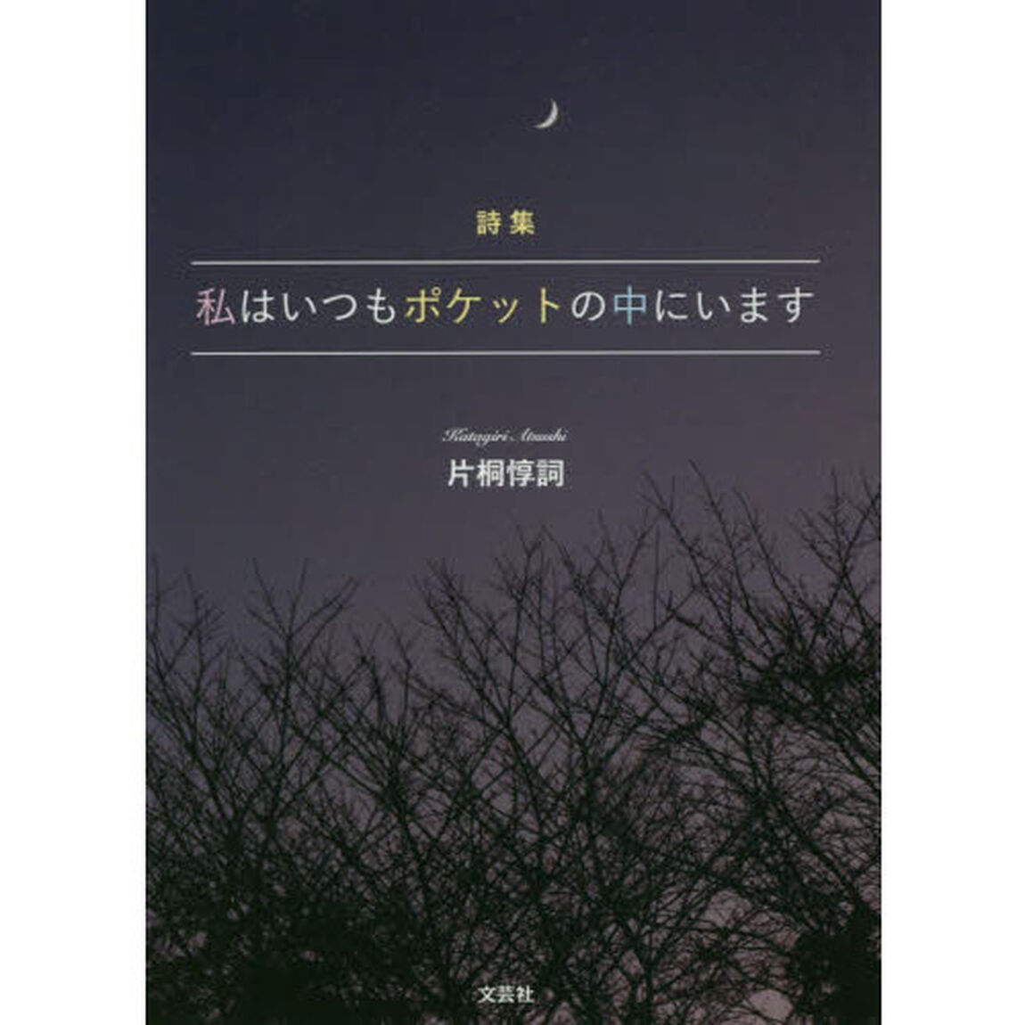 私はいつもポケットの中にいます　詩集
