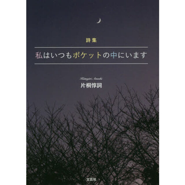 私はいつもポケットの中にいます　詩集