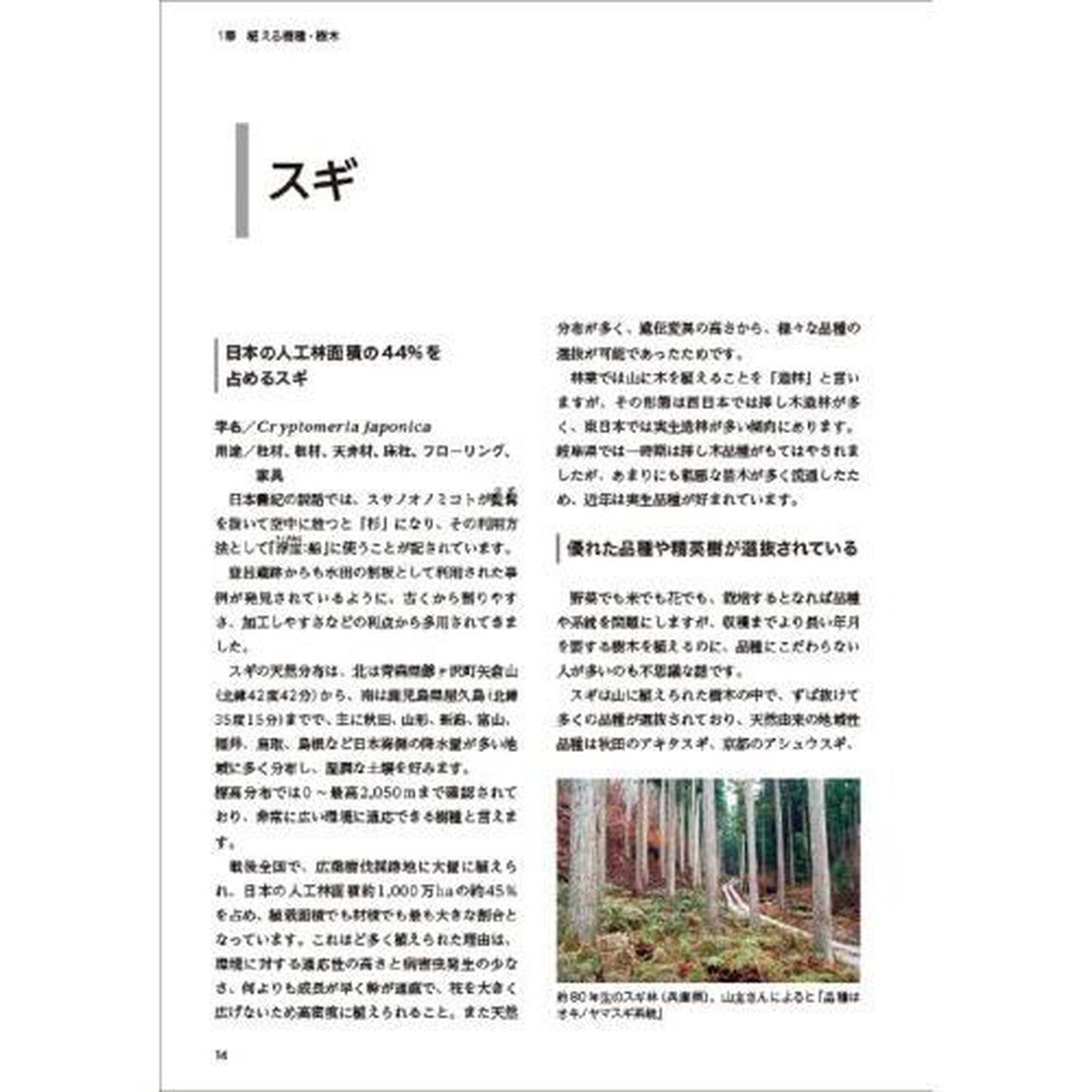 造林・育林実践技術ガイド　未来に残す森づくりのために