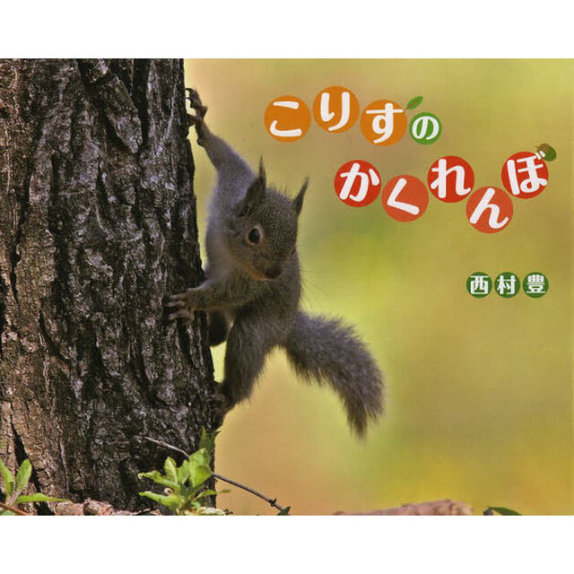 こりすのかくれんぼ