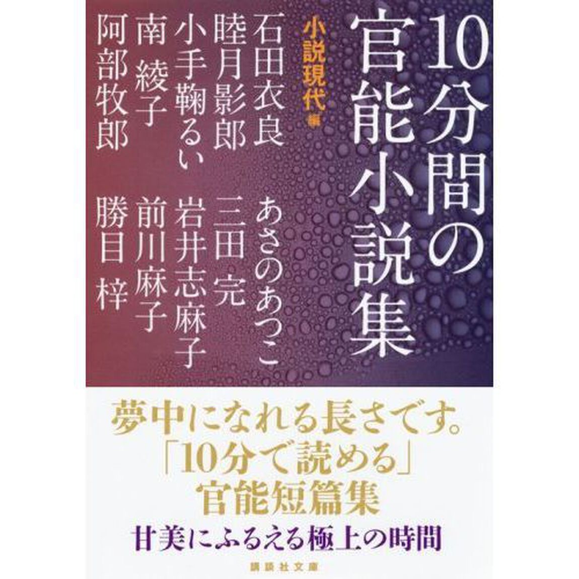 １０分間の官能小説集