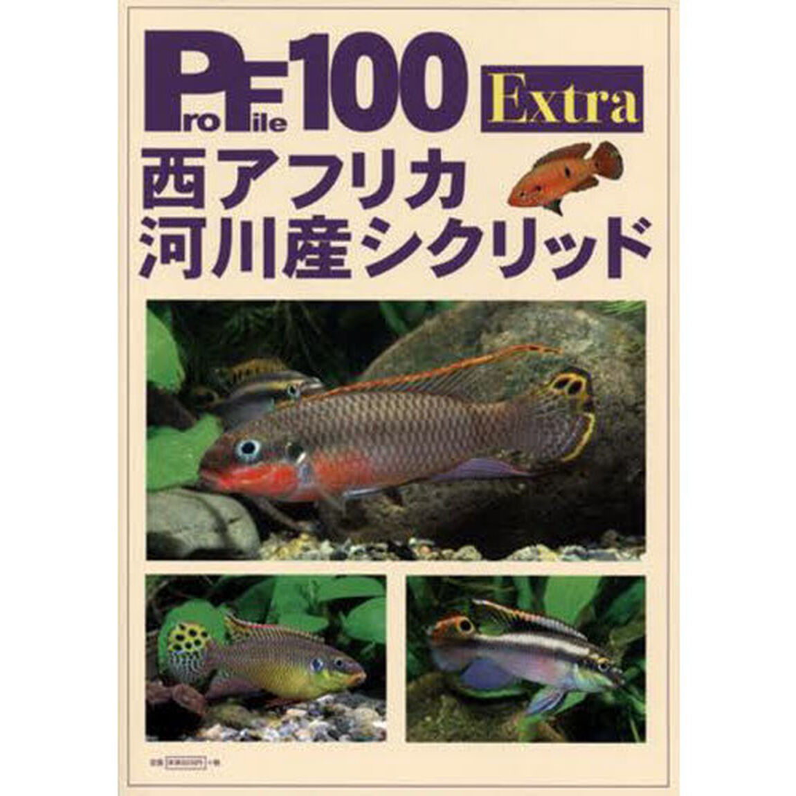 西アフリカ河川産シクリッド