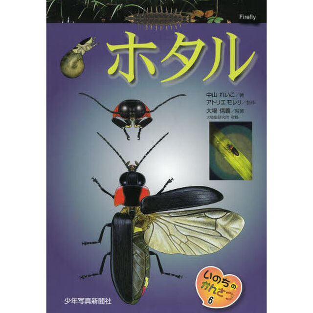 ホタル