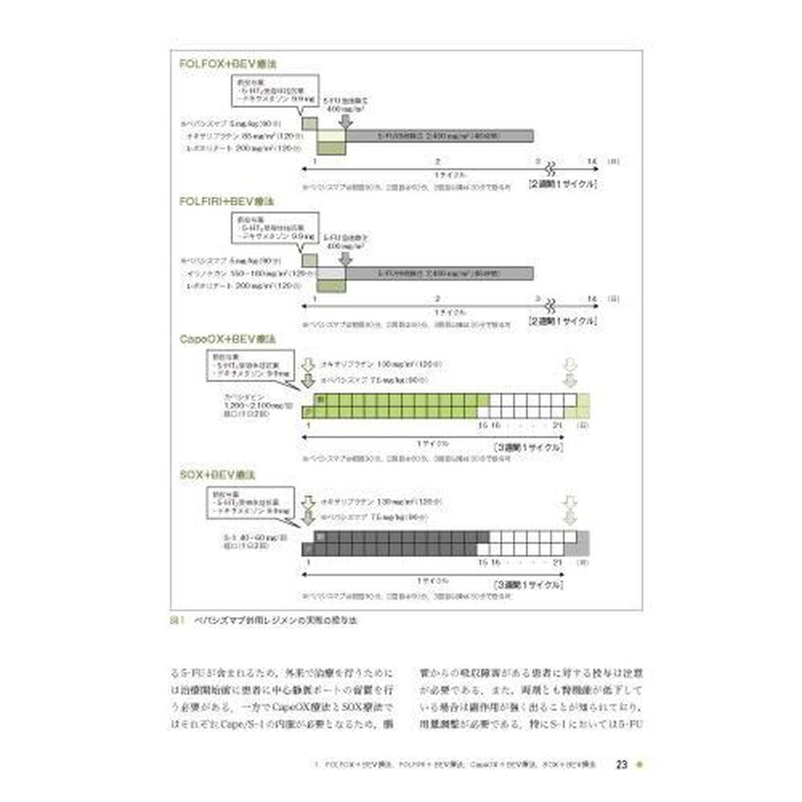 ガイドラインに沿った大腸癌薬物療法の要点と盲点「改訂・改題〈第２版〉」