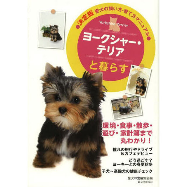 ヨークシャー・テリアと暮らす