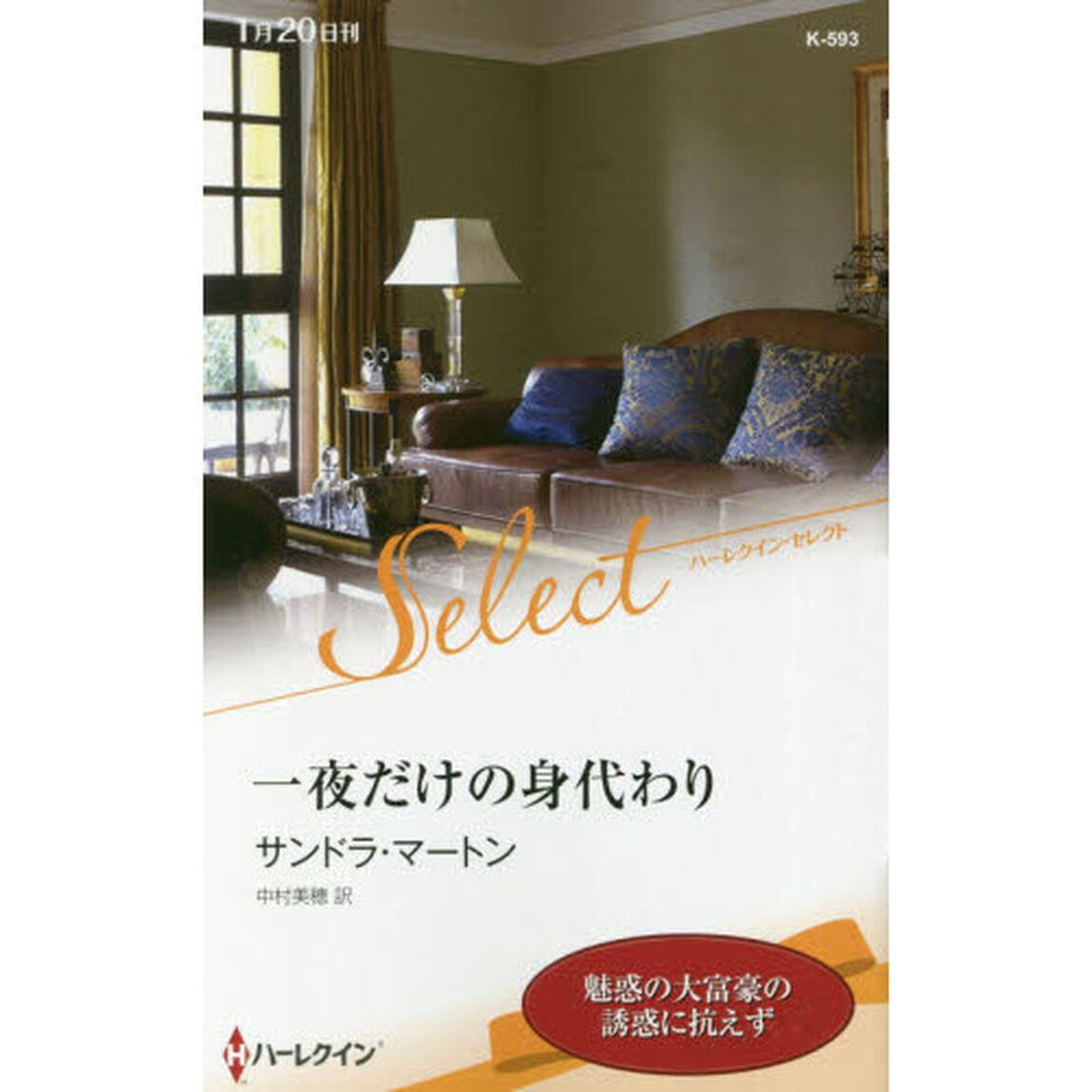 一夜だけの身代わり