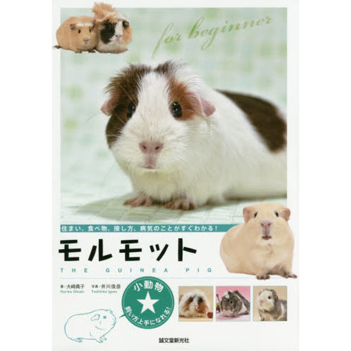 モルモット　住まい、食べ物、接し方、病気のことがすぐわかる！
