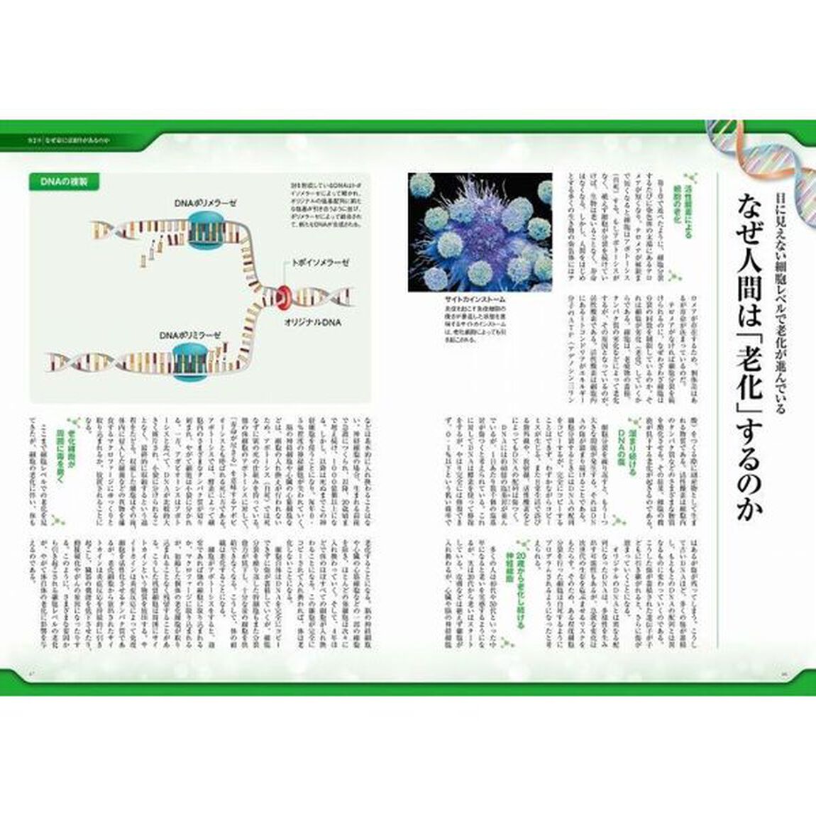 「幸福な死に方」入門　死へのビジョンを持ち自分らしい最期を実現する