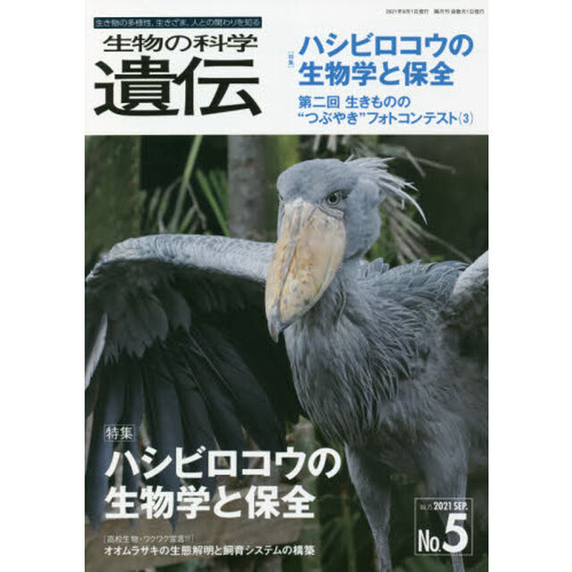 生物の科学遺伝　Ｖｏｌ．７５Ｎｏ．５（２０２１ＳＥＰ．）「ハシビロコウの生物学と保全」