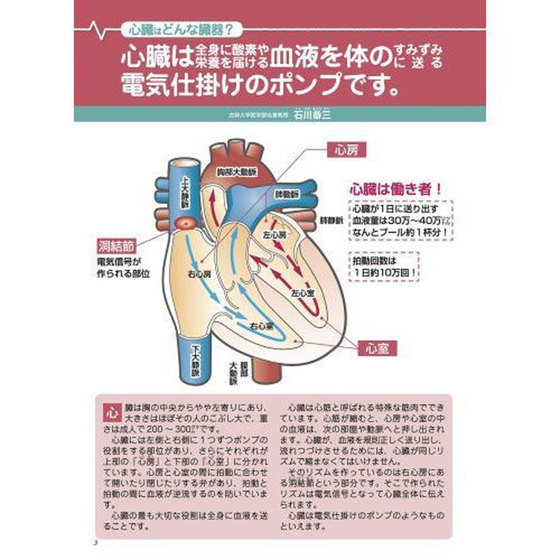 -動悸・ドキン・胸のつまり感・息切れ・めまい- 不整脈 脈飛び 頻脈・徐脈 期外収縮 心房細動 最新最強脈正し自力克服大全