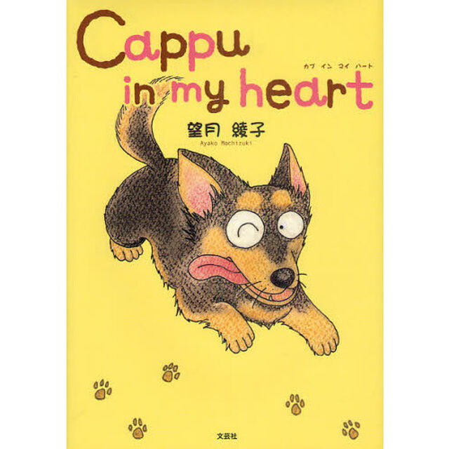 Ｃａｐｐｕ　ｉｎ　ｍｙ　ｈｅａｒｔ