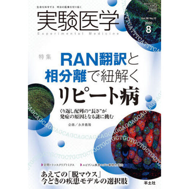 実験医学　Ｖｏｌ．３８Ｎｏ．１３（２０２０－８）「〈特集〉ＲＡＮ翻訳・相分離とリピート病／非マウス疾患モデル」
