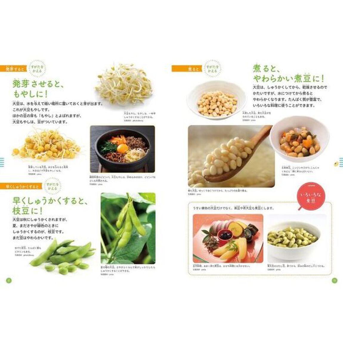 食べ物のひみつを教えます　〔１〕「大豆・米」