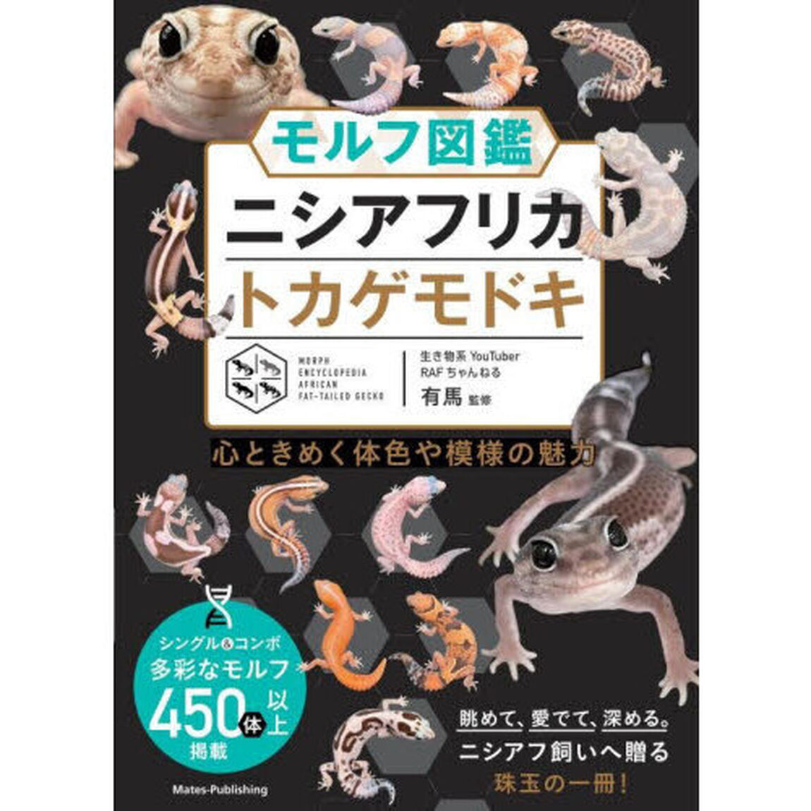 モルフ図鑑ニシアフリカトカゲモドキ　心ときめく体色や模様の魅力