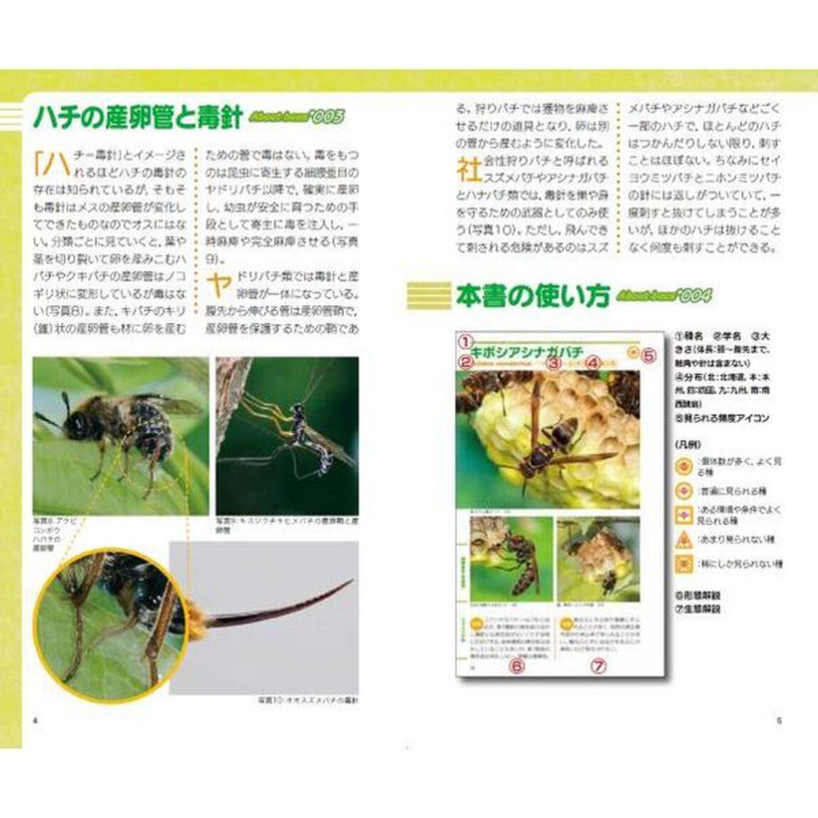 ハチハンドブック「増補改訂版」