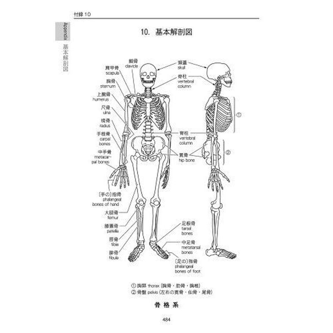 プラクティカル医学略語辞典「第８版」