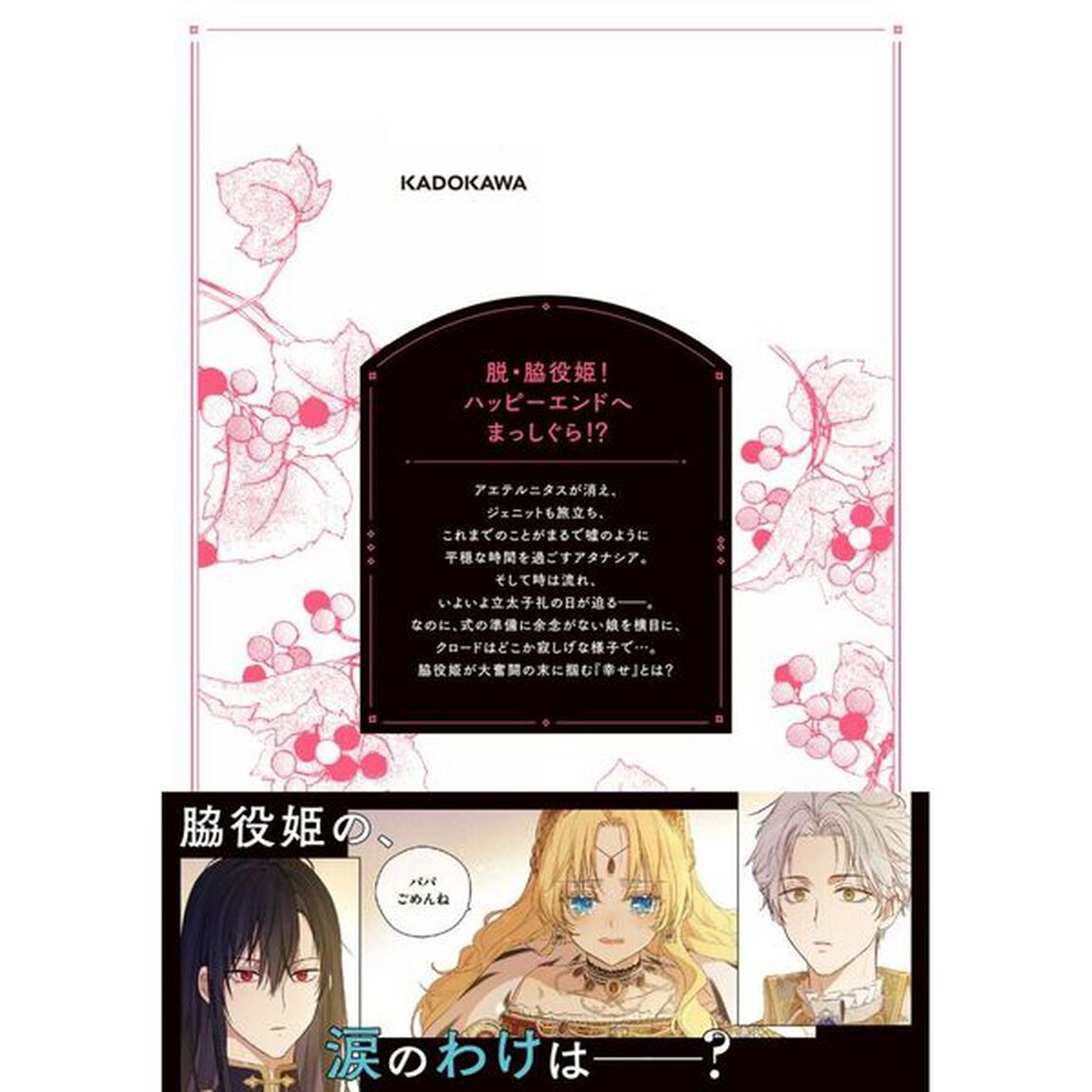 ある日、お姫様になってしまった件について 13