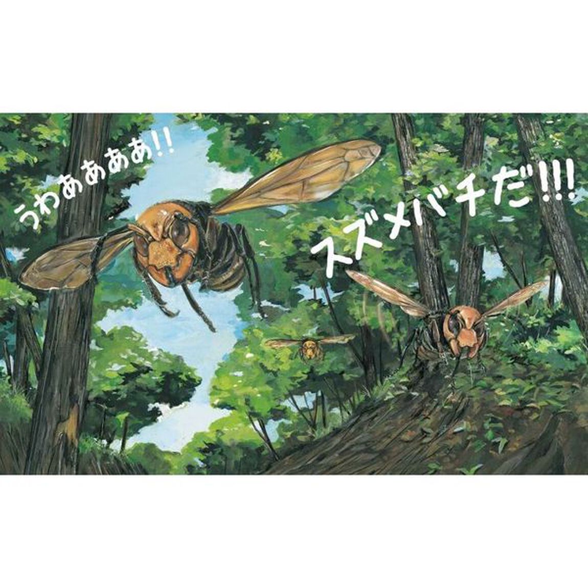 すごい虫ずかん　ぞうきばやしをのぞいたら
