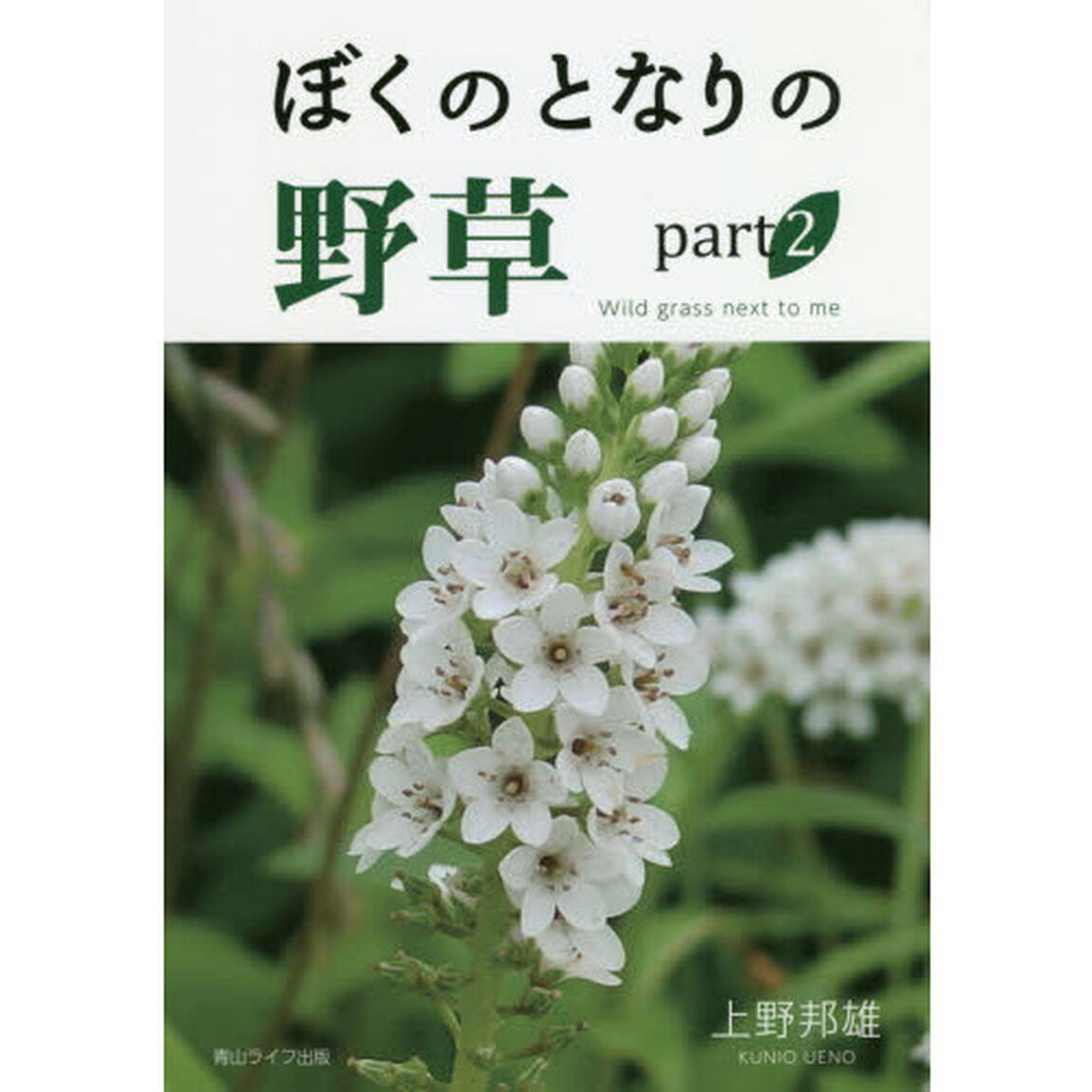 ぼくのとなりの野草　ｐａｒｔ２