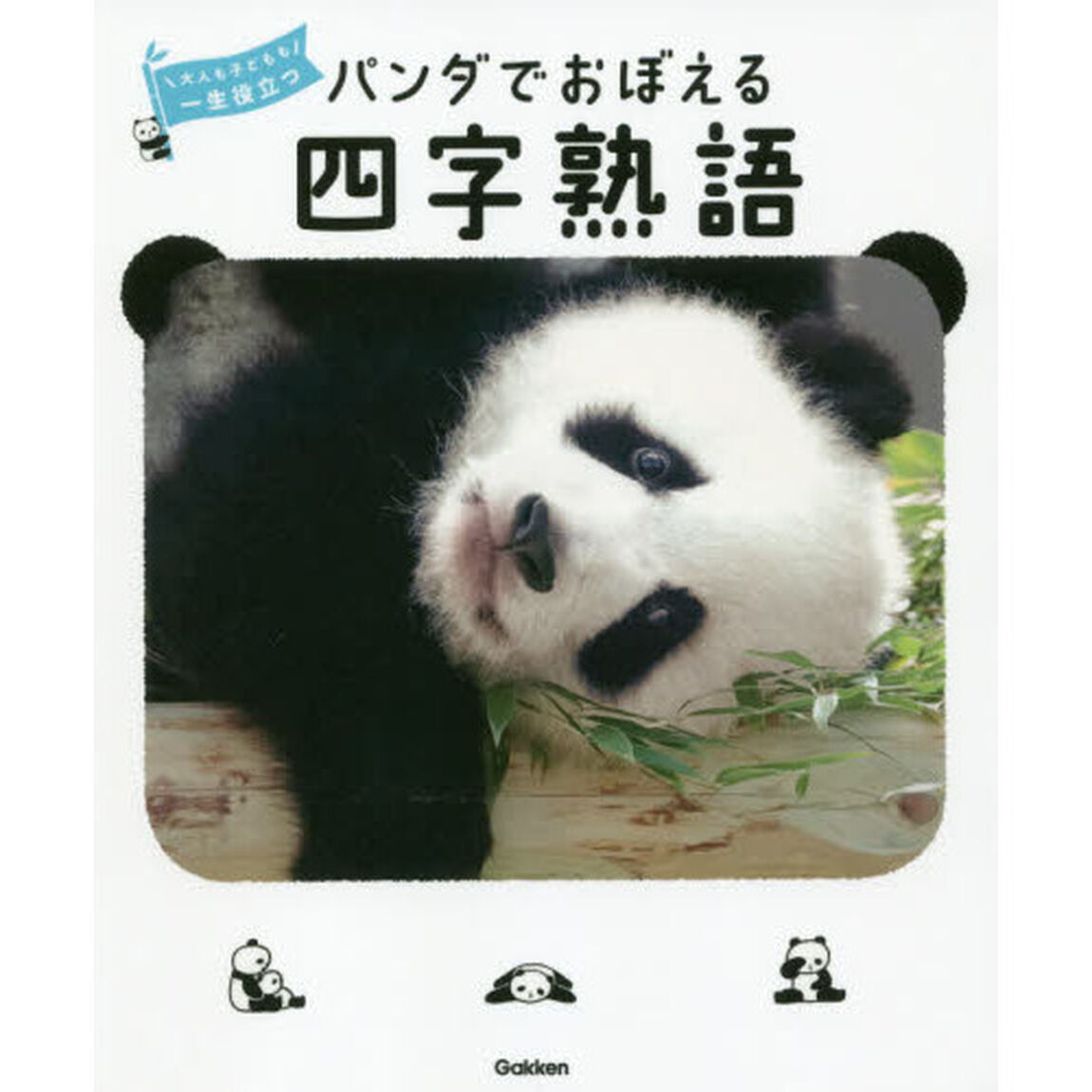 パンダでおぼえる四字熟語　大人も子どもも一生役立つ