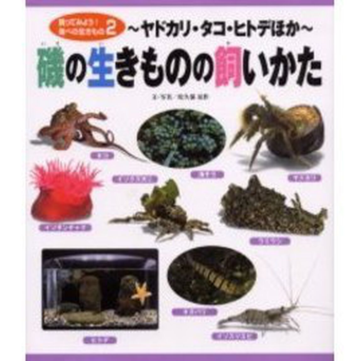 飼ってみよう！海べの生きもの　２「磯の生きものの飼いかた　ヤドカリ・タコ・ヒトデほか」