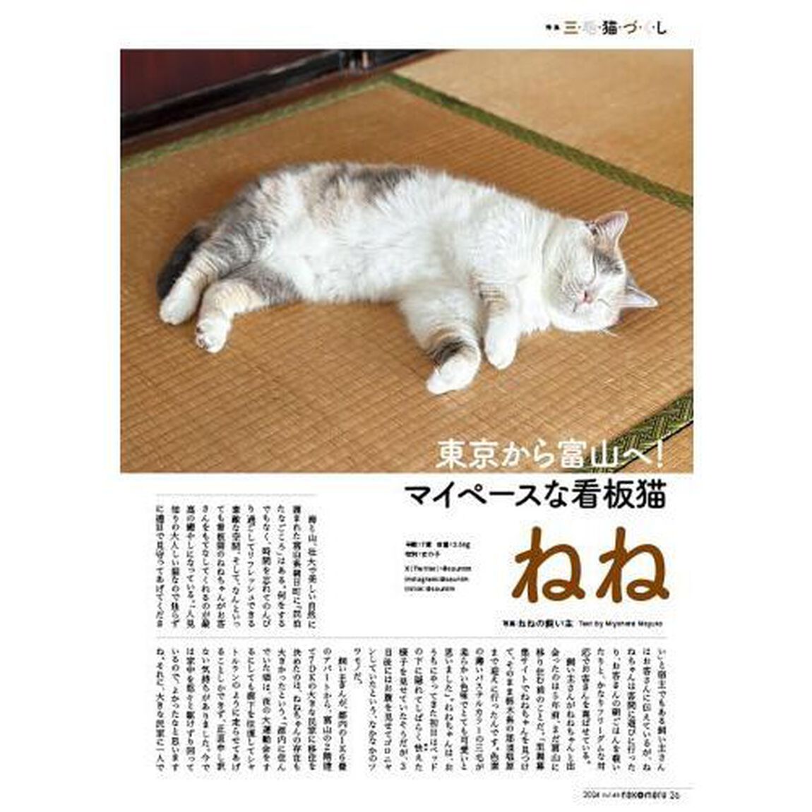 ネコまる　みんなで作る猫マガジン　Ｖｏｌ．４８（２０２４夏秋号）