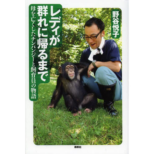 レディが群れに帰るまで　母を亡くしたチンパンジーと飼育員の物語