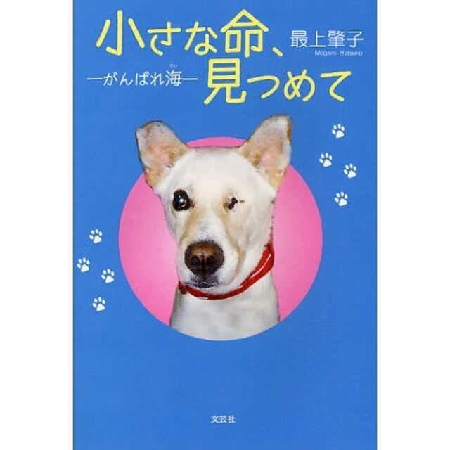 小さな命、見つめて〜がんばれ海〜