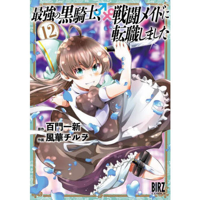 最強の黒騎士、戦闘メイドに転職しました　１２