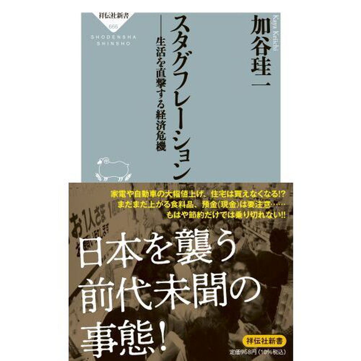 スタグフレーション　生活を直撃する経済危機