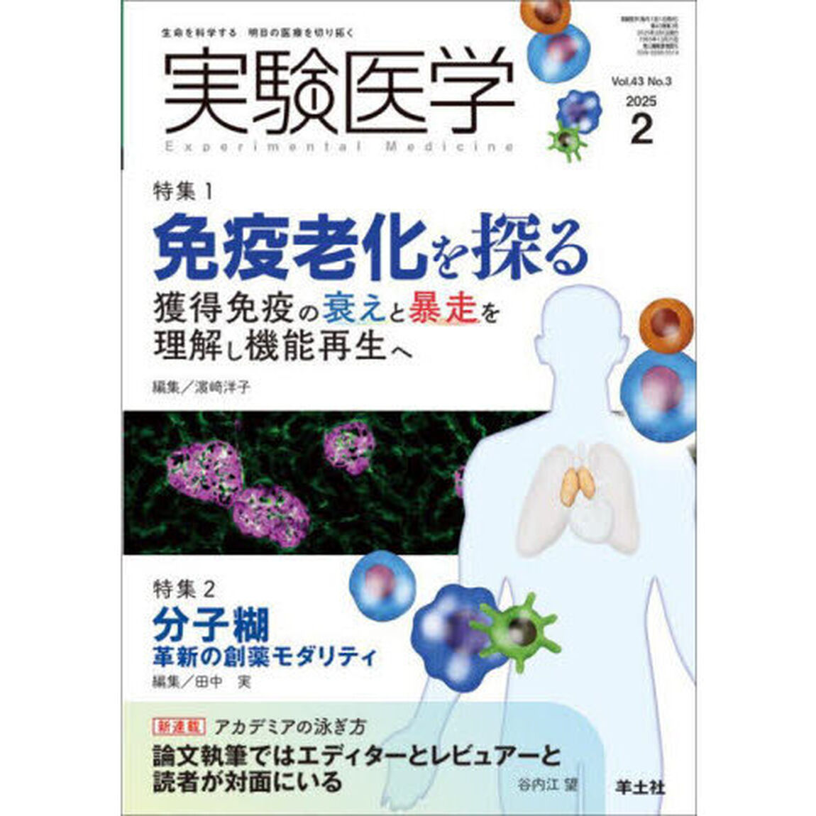 実験医学　Ｖｏｌ．４３Ｎｏ．３（２０２５－２）「特集１免疫老化を探る／特集２分子糊」