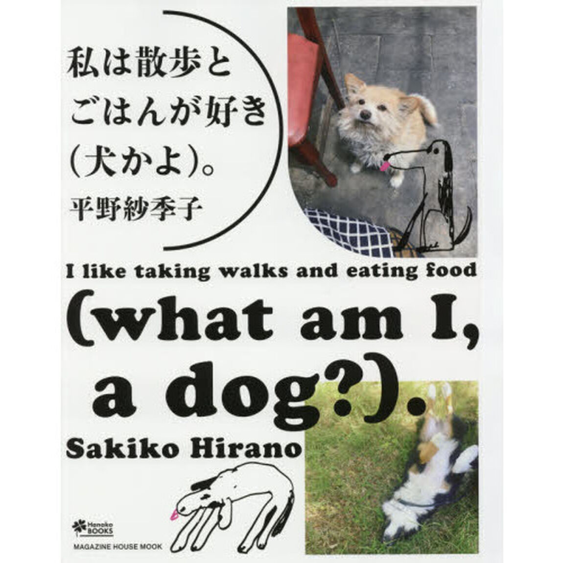 私は散歩とごはんが好き〈犬かよ〉。