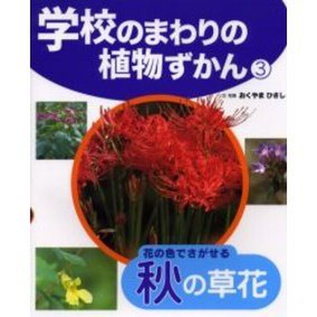 学校のまわりの植物ずかん　３「花の色でさがせる秋の草花」