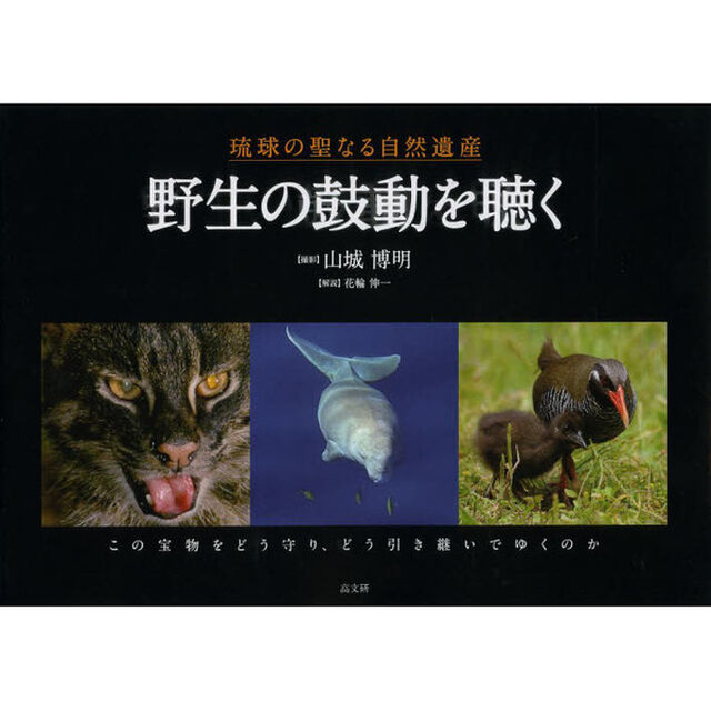 野生の鼓動を聴く
