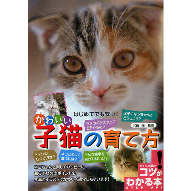 はじめてでも安心！かわいい子猫の育て方