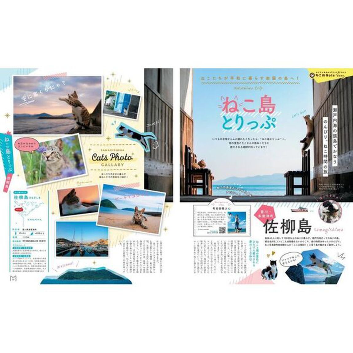 にゃっぷる　ＶＯＬ．４「もちまる日記に大接近！」